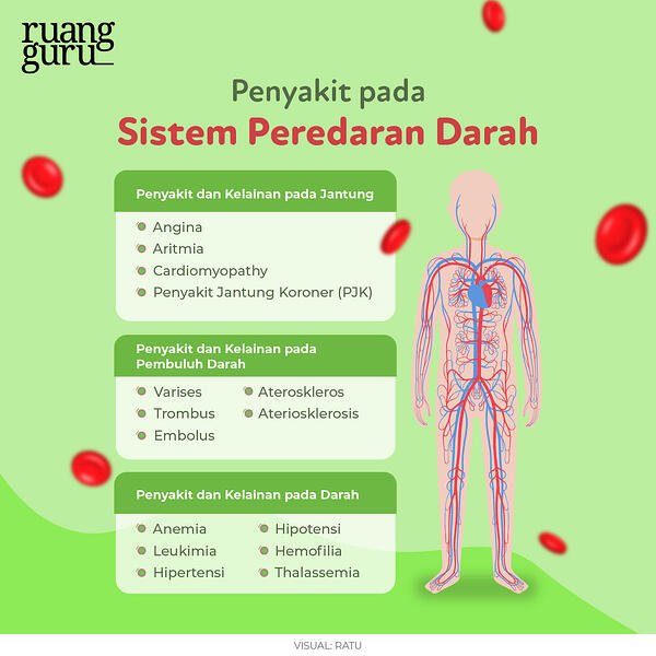 Detail Gambar Tersebut Merupakan Pembuluh Darah Nomer 32