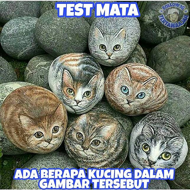 Detail Gambar Tes Mata Lucu Nomer 42