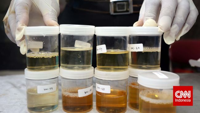 Detail Gambar Tes Urine Positif Narkoba Nomer 10