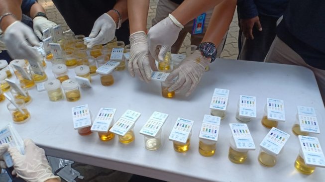 Detail Gambar Tes Urine Positif Narkoba Nomer 20