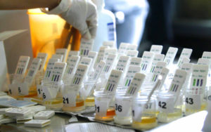 Detail Gambar Tes Urine Positif Narkoba Nomer 43