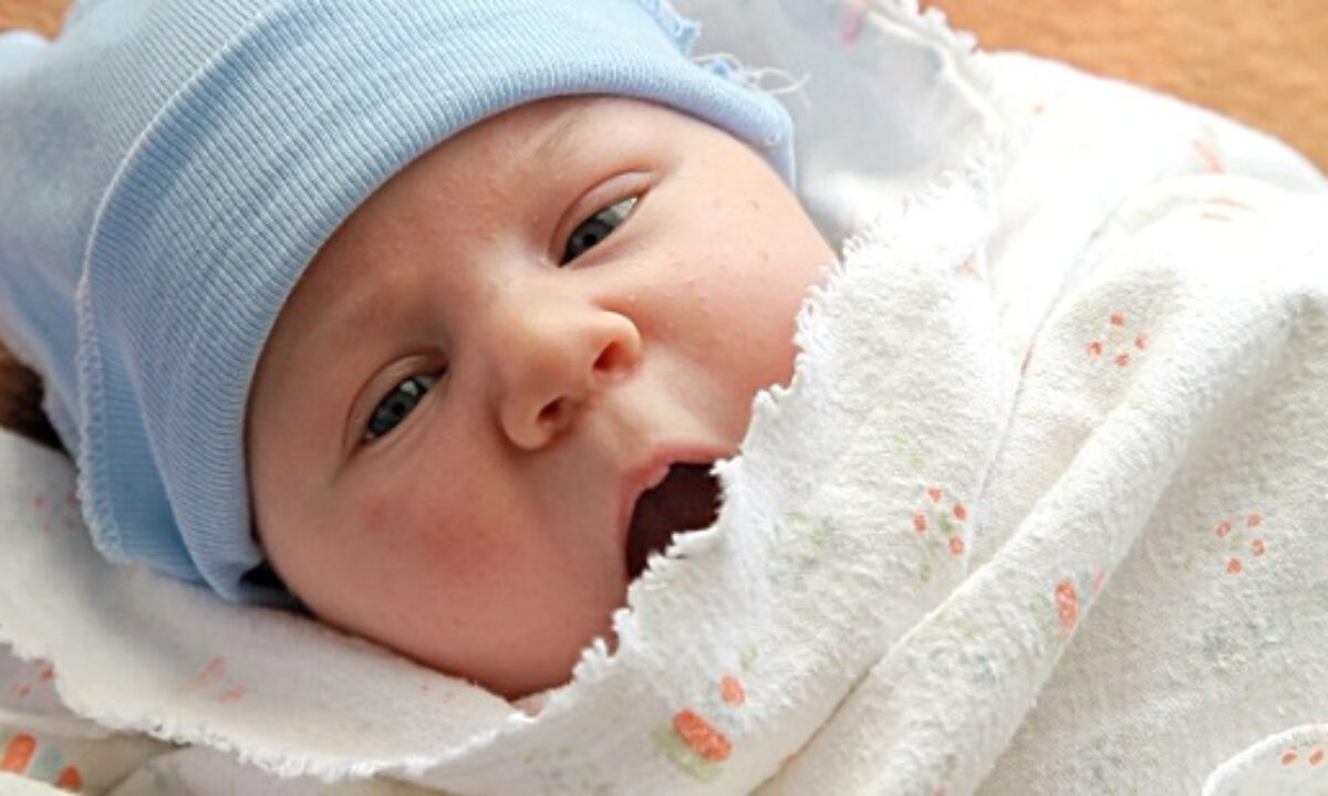 Detail Gambar Testis Bayi Belum Turun Nomer 20