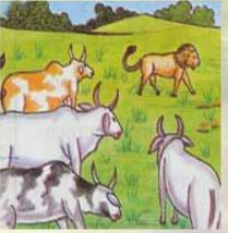 Detail Gambar The Cows And The Lion Nomer 13