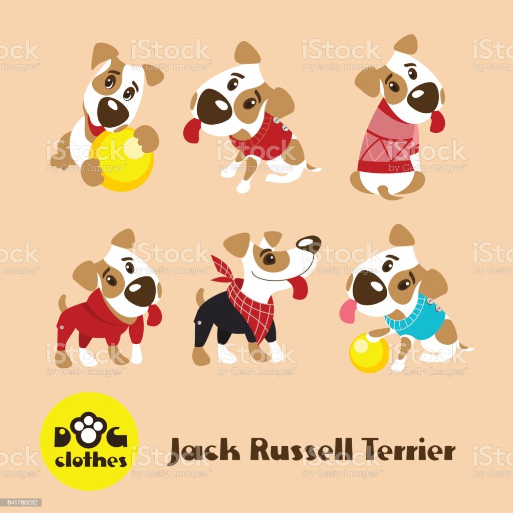 Detail Gambar The Jack Anjing Nomer 39