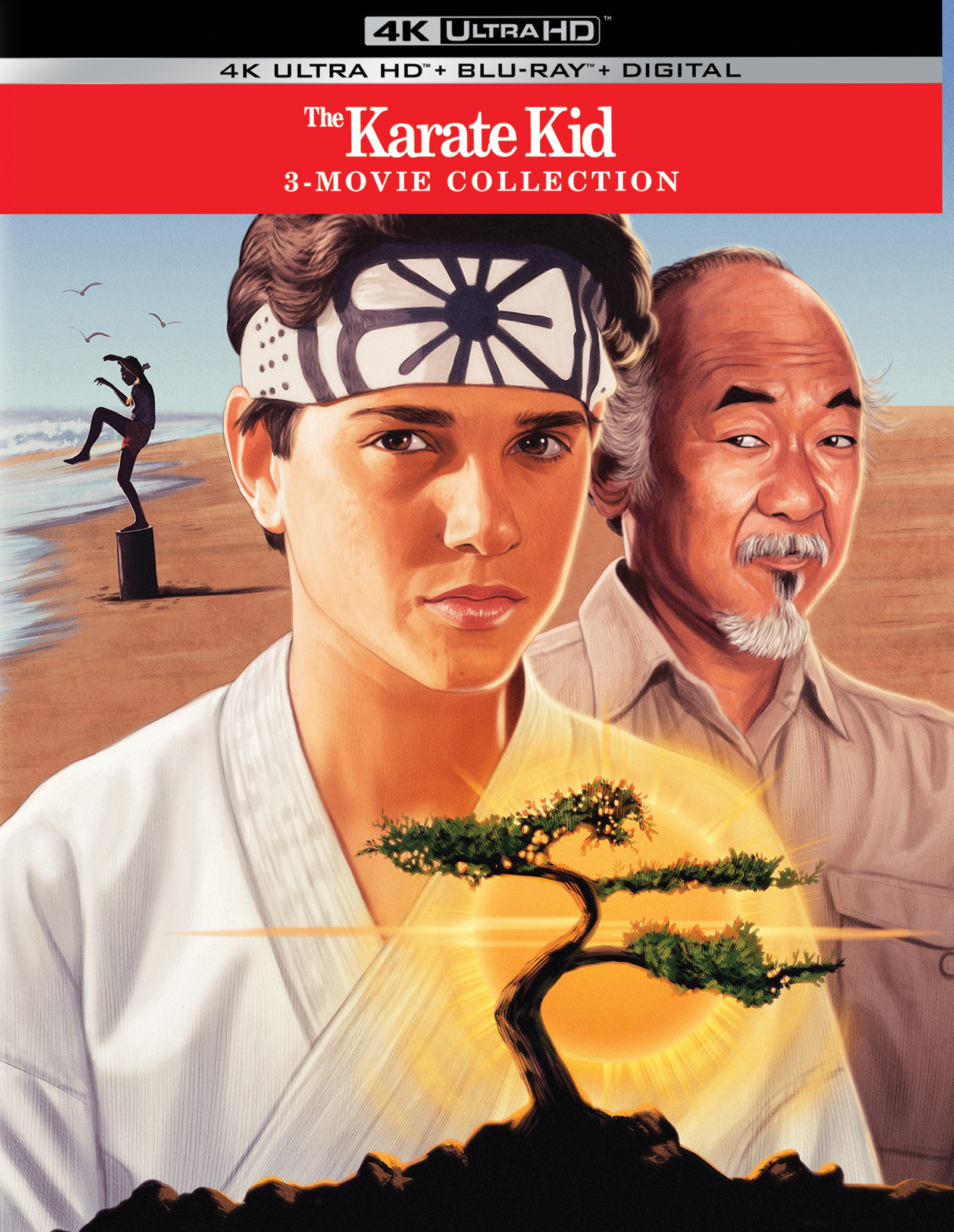 Detail Gambar The Karate Kid Nomer 43