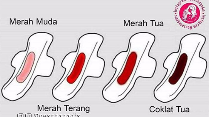 Detail Gambar Tidak Berwarna Nomer 39