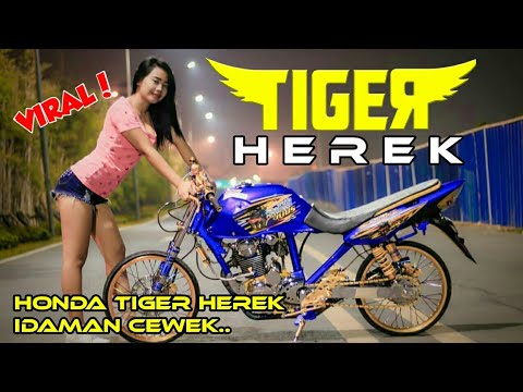 Detail Gambar Tiger Herek Nomer 16