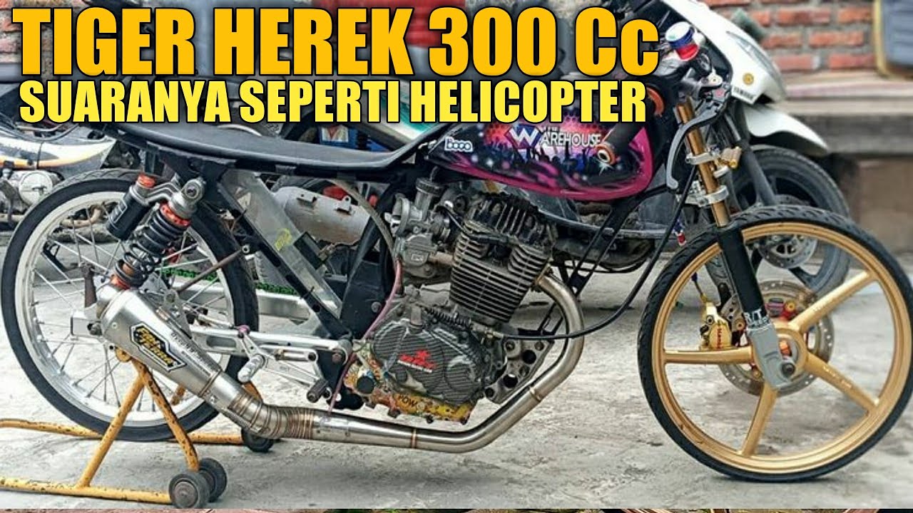 Detail Gambar Tiger Herek Nomer 20