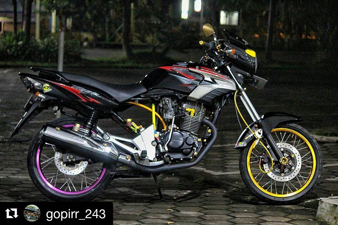 Detail Gambar Tiger Herek Nomer 27