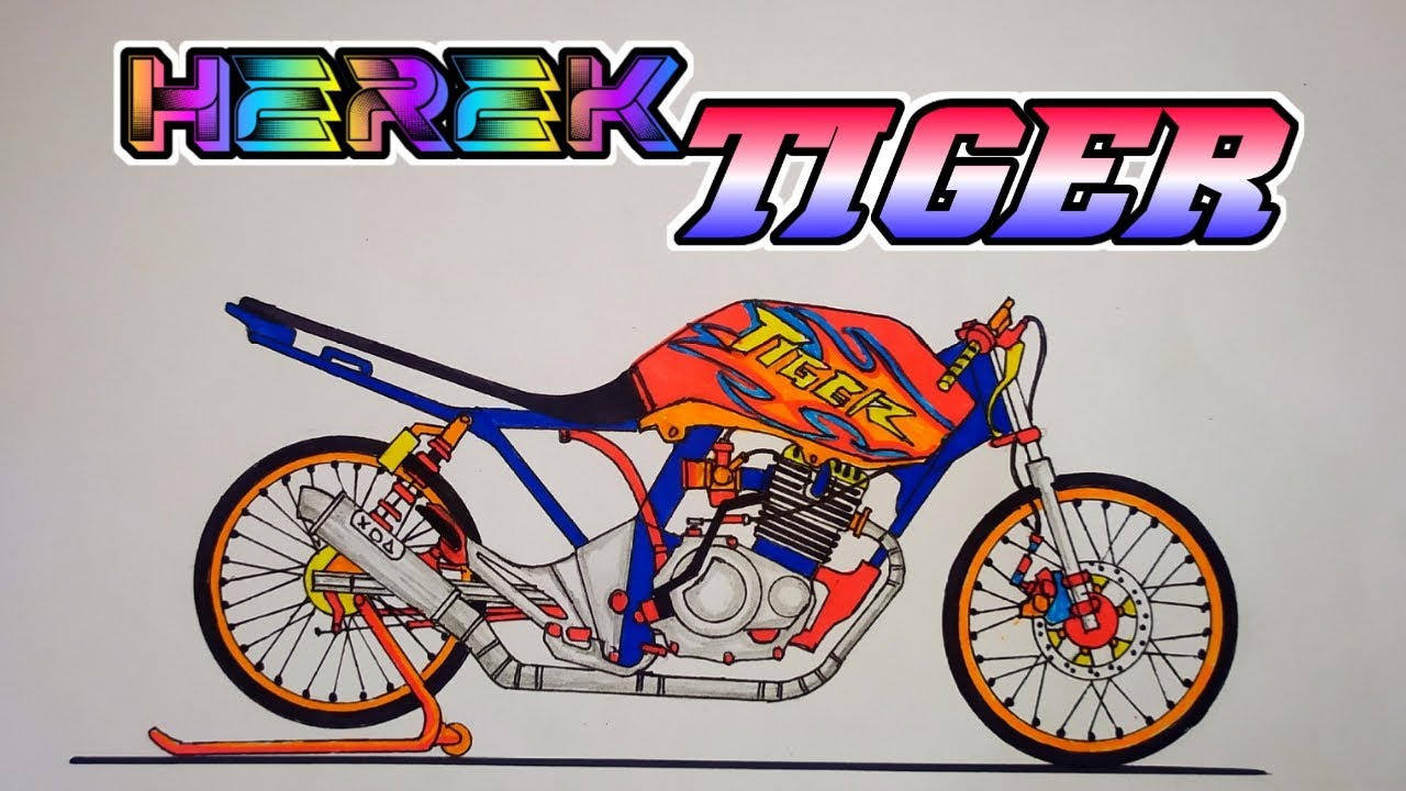 Detail Gambar Tiger Herek Nomer 4