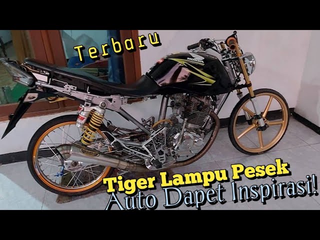 Detail Gambar Tiger Herek Nomer 56