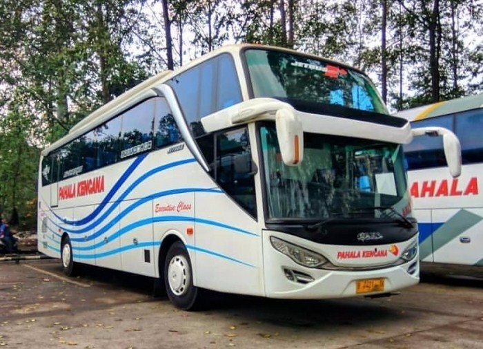 Detail Gambar Tiket Bus Pahala Kencana Nomer 32