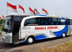 Detail Gambar Tiket Bus Pahala Kencana Nomer 36