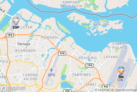 Detail Gambar Tiket Pesawat Ke Singapura Nomer 39