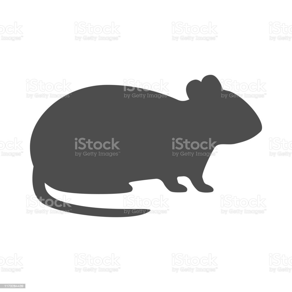 Detail Gambar Tikus Background Putih Nomer 35