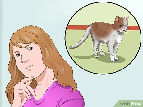 Detail Gambar Tikus Dan Kucing Nomer 24