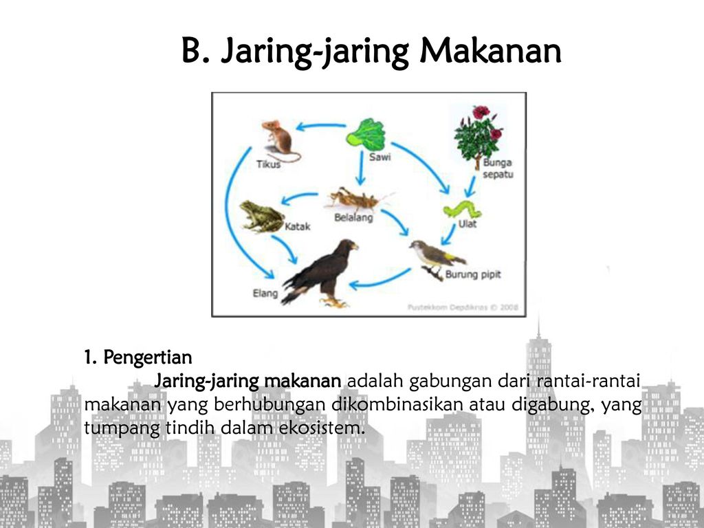 Detail Gambar Tikus Kartun Gambar Jaring Jaring Makanan Nomer 22