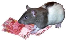 Detail Gambar Tikus Makan Uang Nomer 5