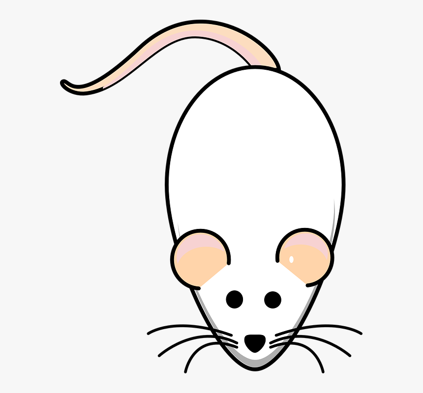 Detail Gambar Tikus Png Nomer 14