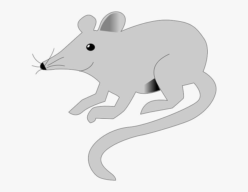 Detail Gambar Tikus Png Nomer 16