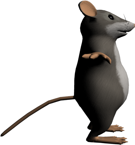 Detail Gambar Tikus Png Nomer 22