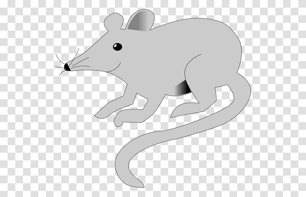 Detail Gambar Tikus Png Nomer 25