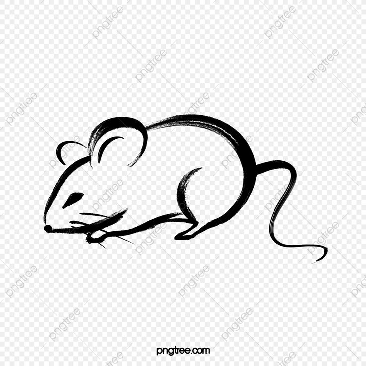 Detail Gambar Tikus Png Nomer 26