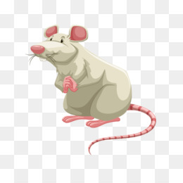 Detail Gambar Tikus Png Nomer 30