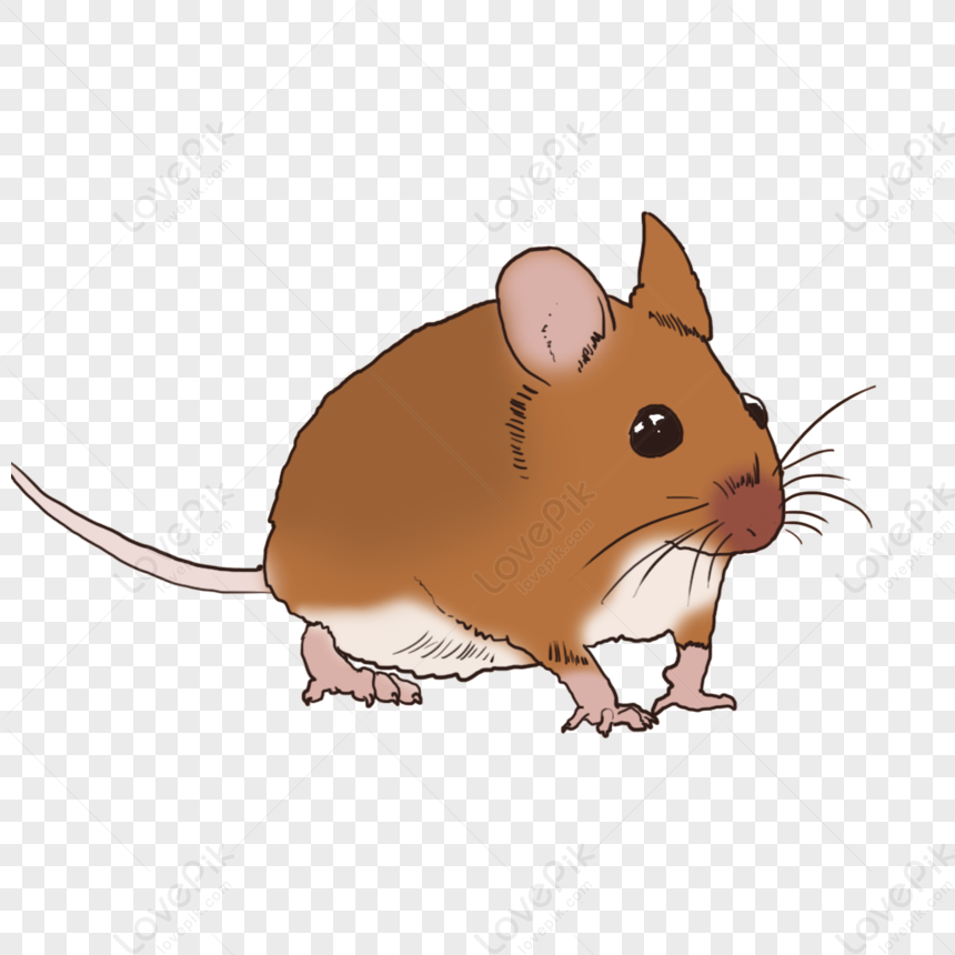 Detail Gambar Tikus Png Nomer 35