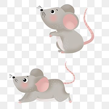Detail Gambar Tikus Png Nomer 5