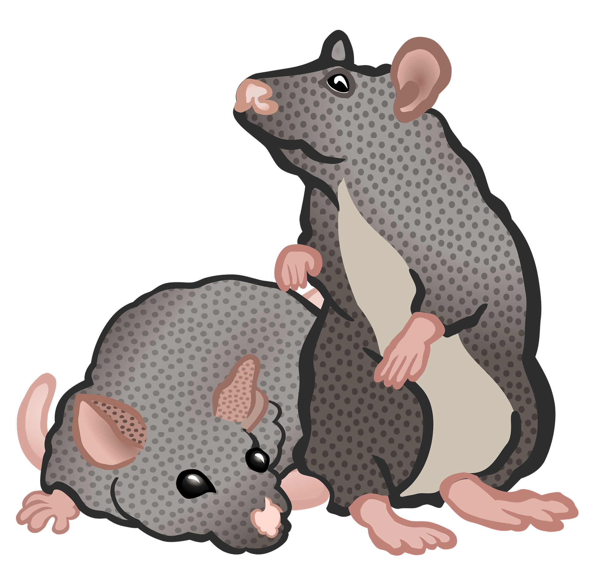 Detail Gambar Tikus Png Nomer 42
