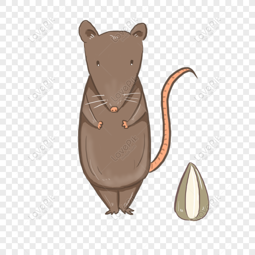 Detail Gambar Tikus Png Nomer 45