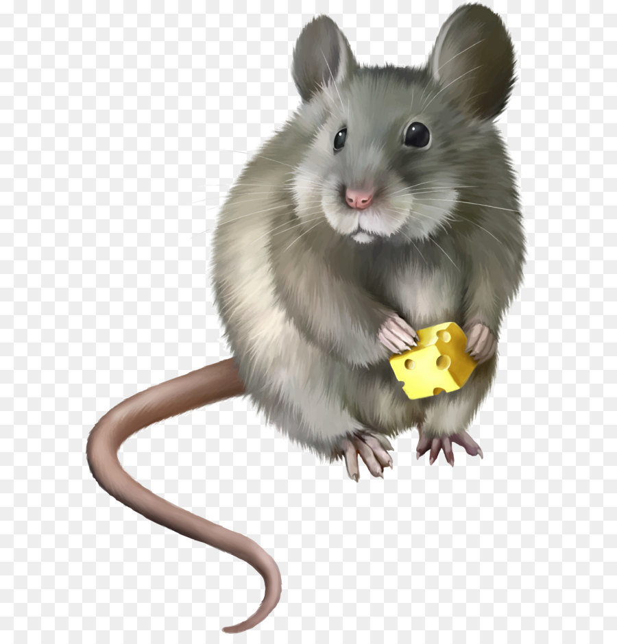 Detail Gambar Tikus Png Nomer 48