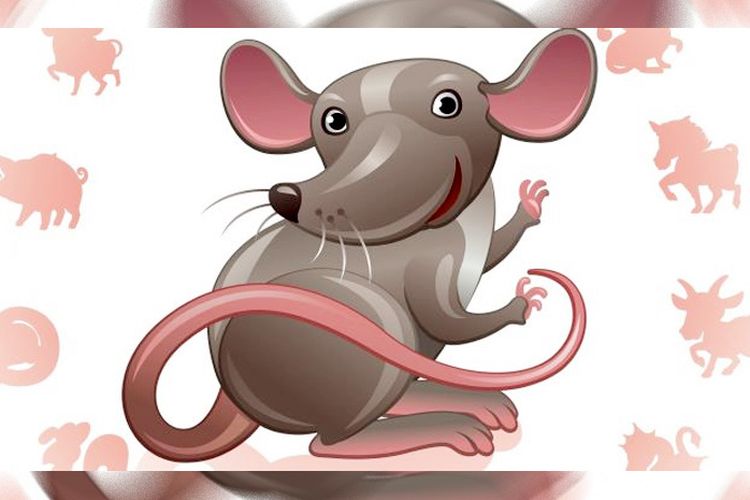 Detail Gambar Tikus Png Nomer 51
