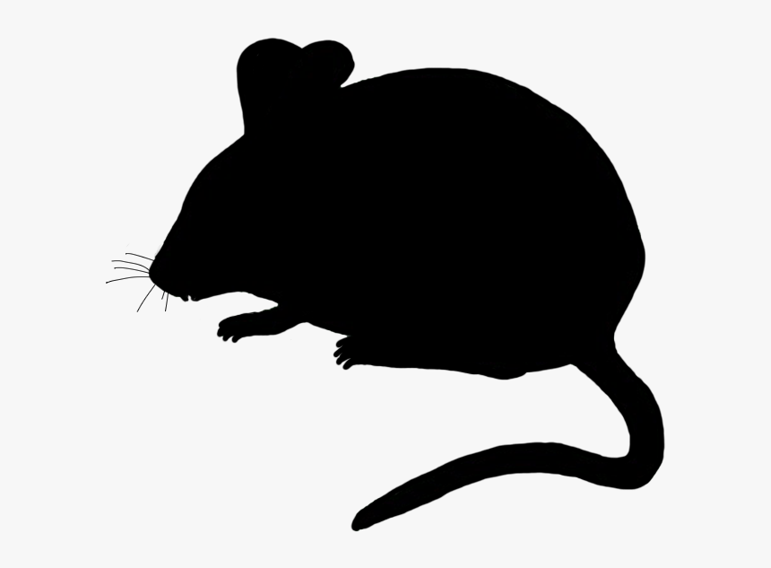 Detail Gambar Tikus Png Nomer 7
