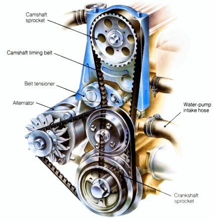 Detail Gambar Timing Belt Nomer 29