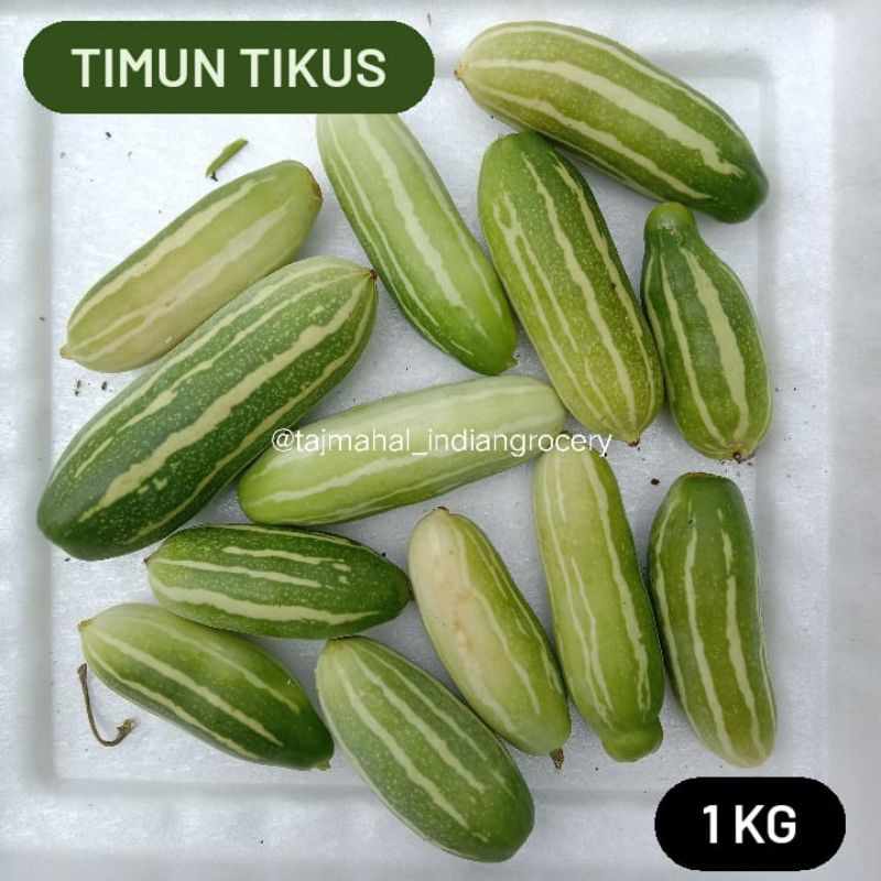 Detail Gambar Timun Tikus Nomer 4