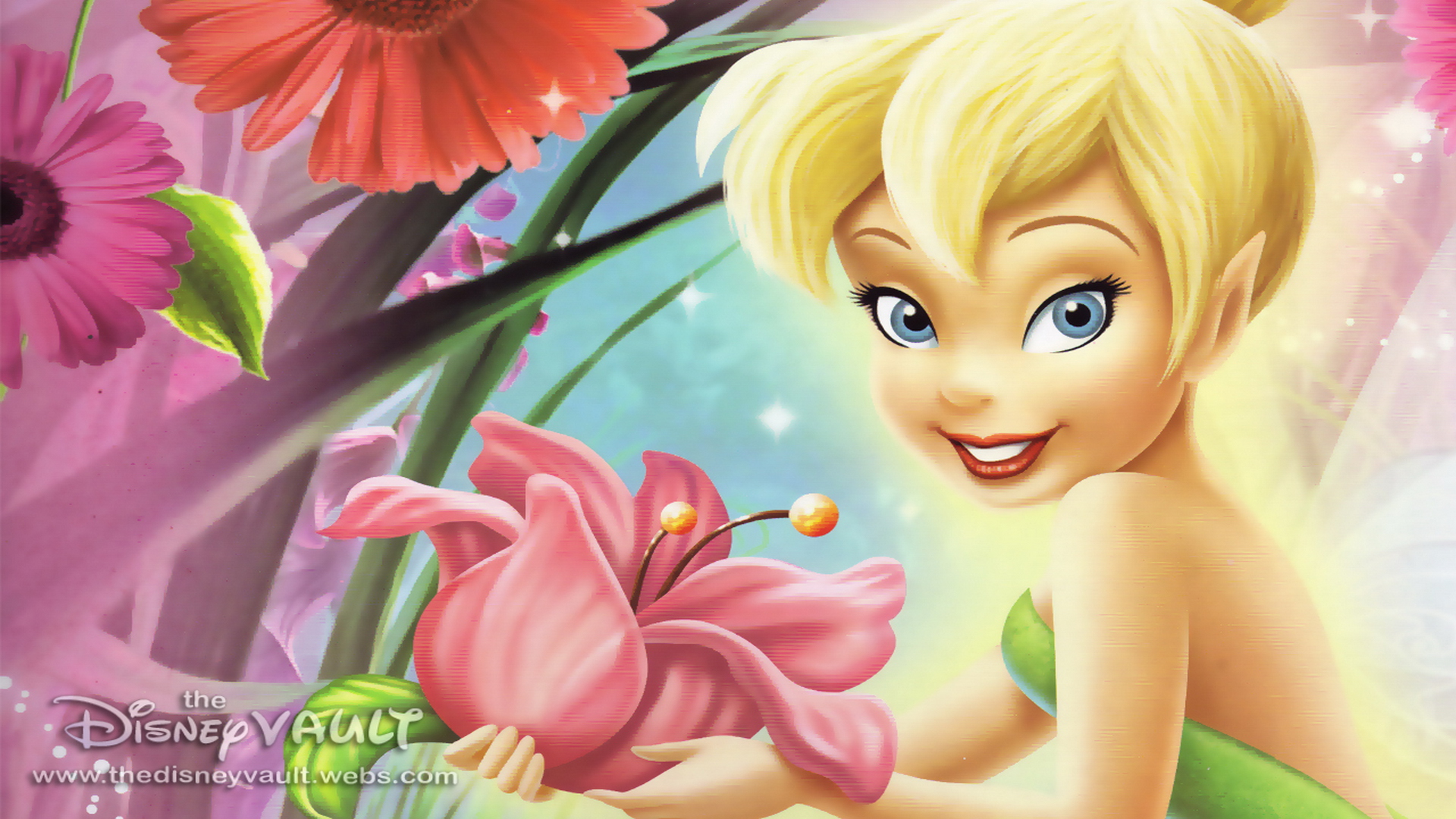 Detail Gambar Tinkerbell Bergerak Nomer 10