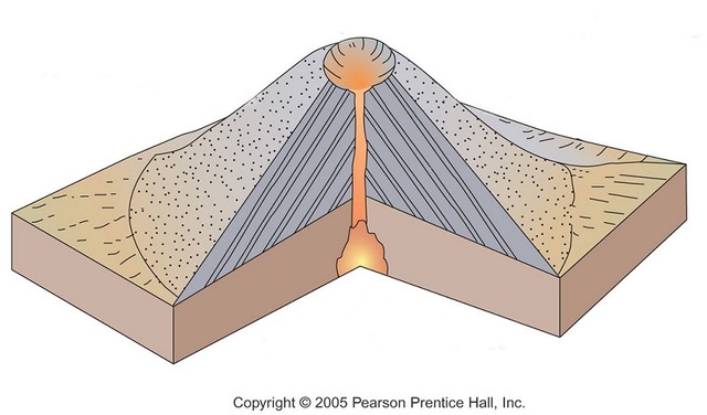 Detail Gambar Tipe Hawaii Nomer 53