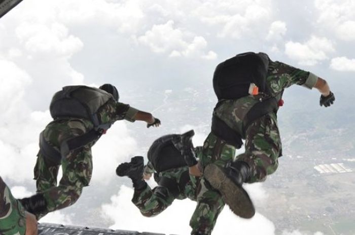 Detail Gambar Tni Au Keren Nomer 17