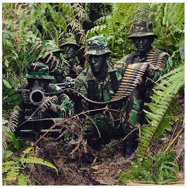 Detail Gambar Tni Keren Nomer 34