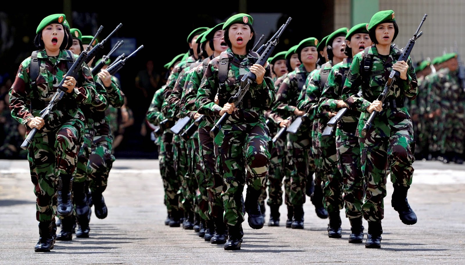 Detail Gambar Tni Wanita Nomer 8