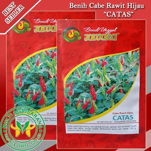 Detail Gambar Toga Cabe Rawit Nomer 40