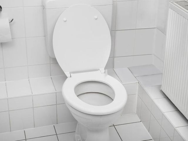 Detail Gambar Toilet Duduk Nomer 25