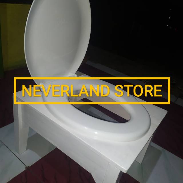 Download Gambar Toilet Kloset Jongkok Nomer 30