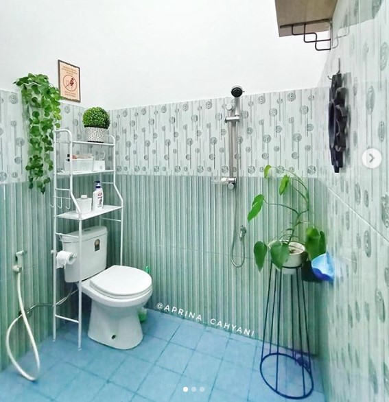 Detail Gambar Toilet Minimalis Nomer 22