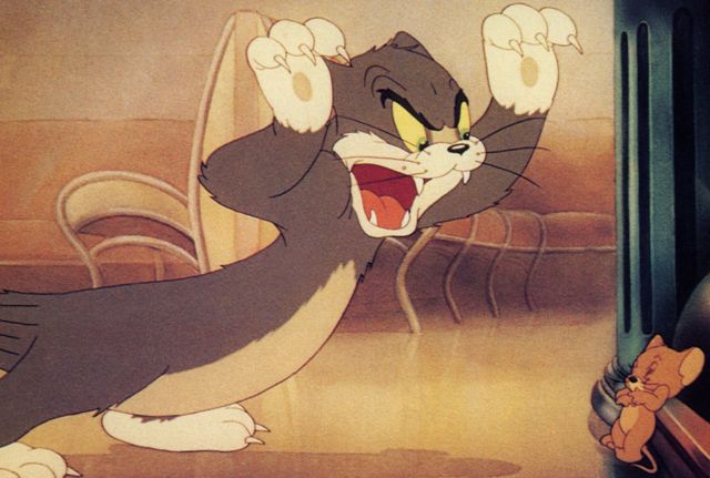 Download Gambar Tom And Jerry Hitam Putih Nomer 47