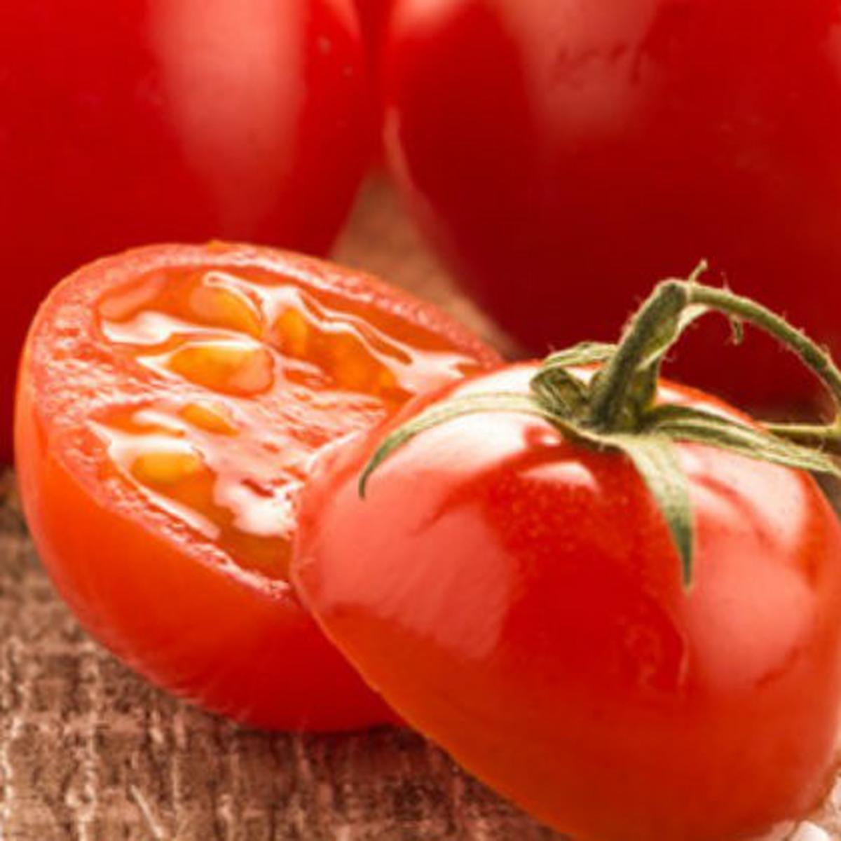 Detail Gambar Tomat Buah Dan Tomat Sayur Nomer 46