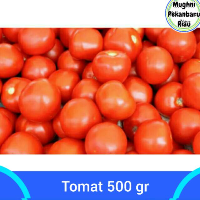 Detail Gambar Tomat Buah Dan Tomat Sayur Nomer 54