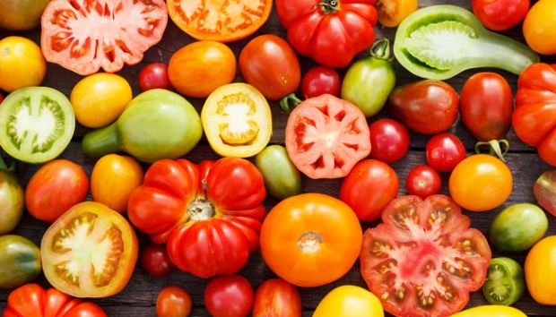 Detail Gambar Tomat Buah Dan Tomat Sayur Nomer 8
